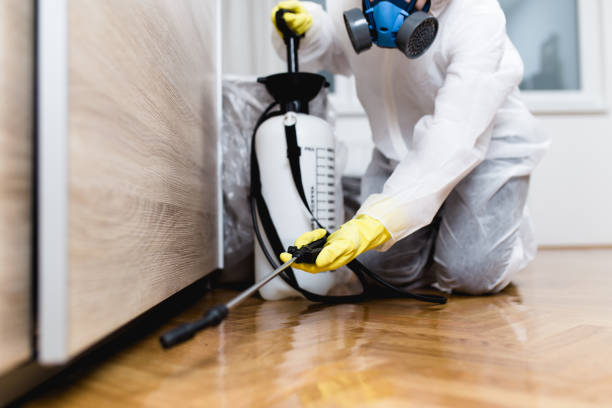 Best Mosquito Control Services  in Jasmine Estates, FL