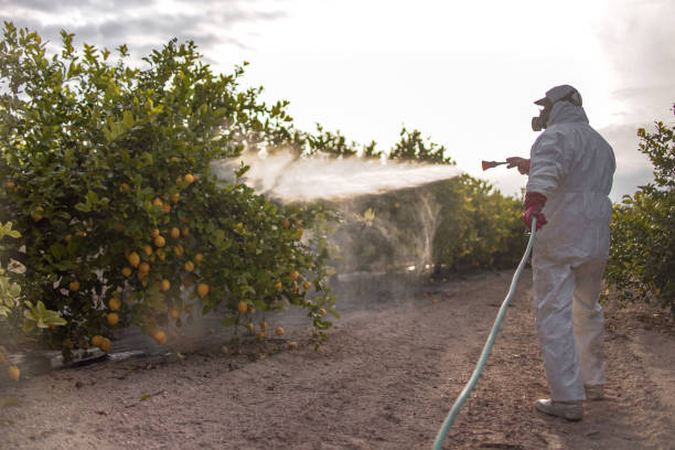 Pest Control for Restaurants in Jasmine Estates, FL